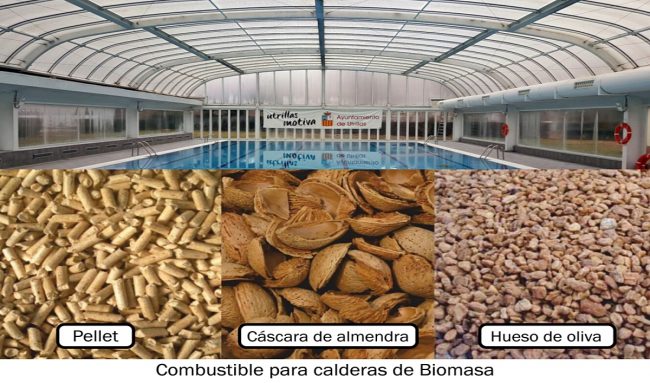 Combustibles para caldera de BIomasa web